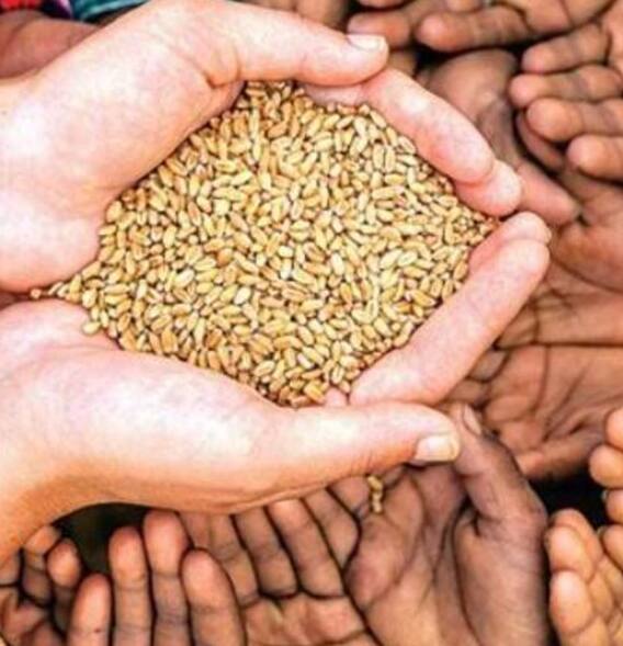 ਕਿਸਾਨਾਂ ਲਈ ਖੁਸ਼ਖਬਰੀ! ਕਣਕ ਦਾ 4000 ਰੁਪਏ ਪ੍ਰਤੀ ਕੁਇੰਟਲ ਮਿਲੇਗਾ ਭਾਅ