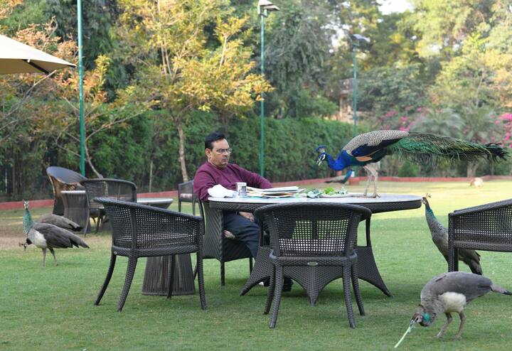 राजस्थान के सीएम भजनलाल शर्मा ने प्रकृति से जुड़ी एक और तस्वीर सोशल मीडिया पर  शेयर की है जिसमें वह मोर से घिरे हुए हैं.