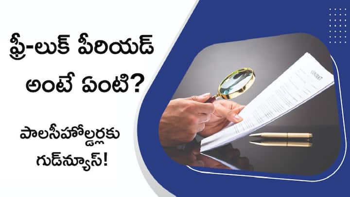 What is the Free Look Period in Insurance and Insurance policy free look period to expand from one month to one year Insurance Free-Look Period: బీమా పాలసీ ఫ్రీ-లుక్ పీరియడ్ నెల నుంచి సంవత్సరానికి పెంపు!- మీకు చాలా ప్రయోజనం