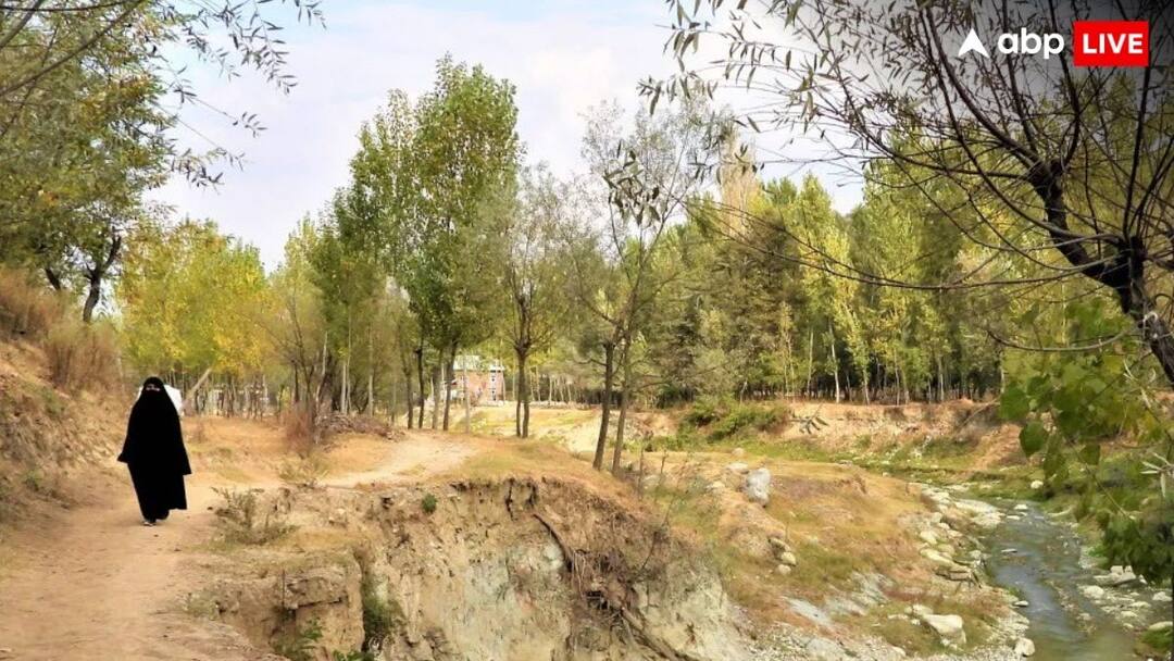 Kashmir Climate change big impact possibility of drought due to less snowfall less rain धरती के स्वर्ग में सूखे का खतरा! सर्दियों में कम बर्फबारी और कमजोर बारिश ने बढ़ाई कश्मीर की टेंशन