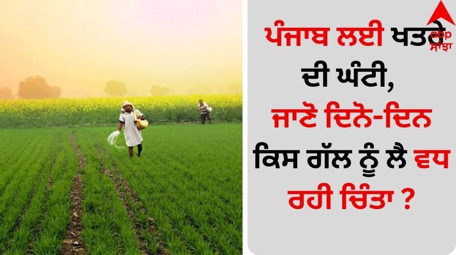 Punjab News Alarm bells ringing for Punjab, know what is the growing concern about day by day? Punjab News: ਪੰਜਾਬ ਲਈ ਖਤਰੇ ਦੀ ਘੰਟੀ, ਜਾਣੋ ਦਿਨੋ-ਦਿਨ ਕਿਸ ਗੱਲ ਨੂੰ ਲੈ ਵਧ ਰਹੀ ਚਿੰਤਾ ?
