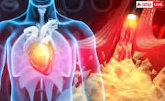 ਦਿਲ ਦੀਆਂ ਨਸਾਂ ਹੋ ਰਹੀਆਂ ਬਲਾਕ ਤਾਂ ਸਰੀਰ ‘ਚ ਨਜ਼ਰ ਆਉਂਦੇ ਆਹ ਲੱਛਣ, ਭੁੱਲ ਕੇ ਵੀ ਨਾ ਕਰੋ ਇਗਨੋਰ