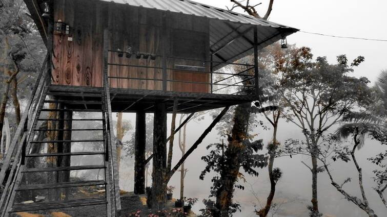 Are you going on a holiday tour?  A visit to Thekkady Tree House kerala tnn Kerala: ஹாலிடே டூர் போறீங்களா? அப்ப இங்க போங்க.. தேக்கடி ட்ரீ ஹவுஸ் ஒரு விசிட்..!