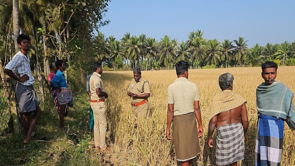 அட எங்கப்பா இந்த பக்கம் திரும்பிட்ட... பட்டுக்கோட்டையில் உலா வந்த காட்டெருமை