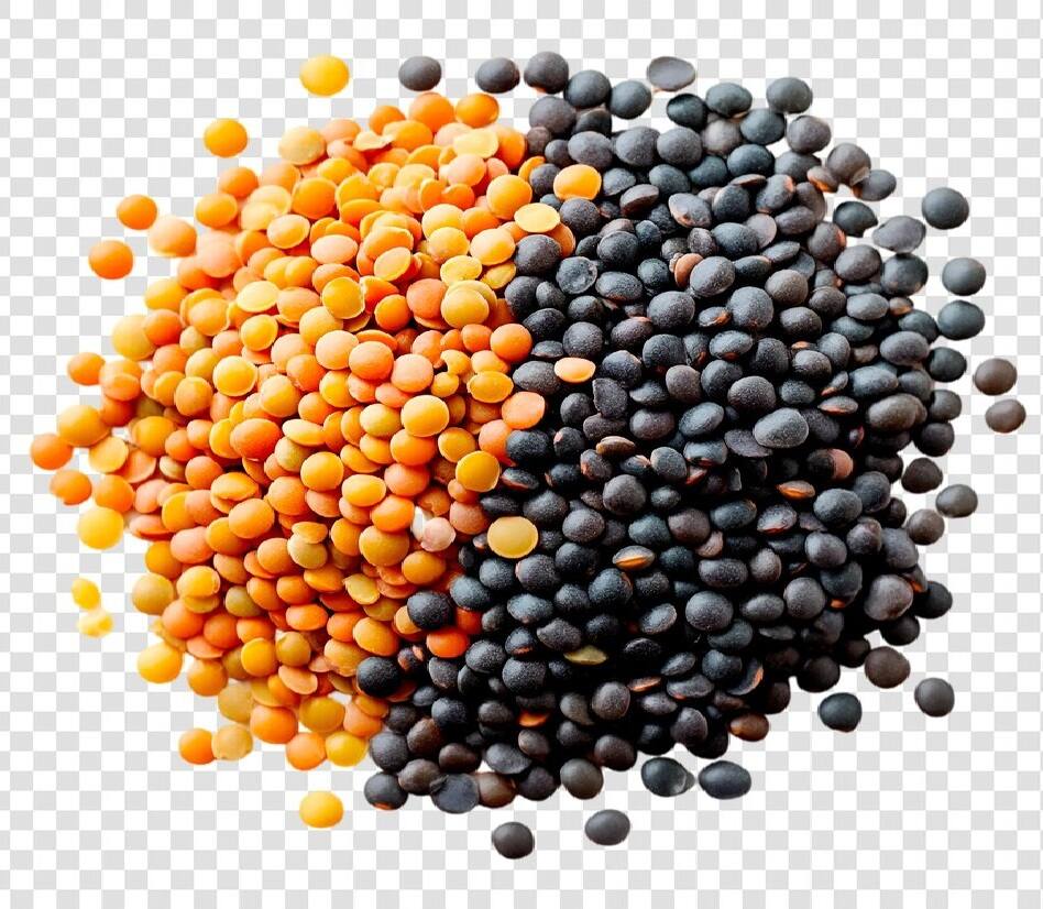 Benefits Of Pulses: મસૂર સહિતની આ દાળને ડાયટમાં અચૂક કરો સામેલ થશે આ 5 ગબજ ફાયદા Make sure to include these lentils, including lentils in your diet, you will get these 5 amazing benefits Benefits Of Pulses: મસૂર સહિતની આ દાળને ડાયટમાં અચૂક કરો સામેલ થશે આ 5 ગબજ ફાયદા