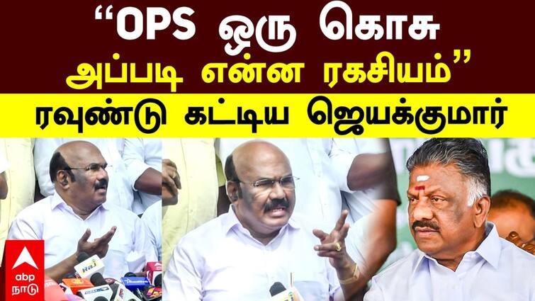 D Jayakumar Teases OPS as Mosquito when Asked About Him in a Press Meet Jayakumar Teases OPS: கொசுக்களைப் பற்றி பேசாதீர்கள்.! முன்னாள் முதலமைச்சர்னு கூட பாக்காம இப்படியா கிண்டல் பண்றது.?