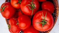 Tomato Vegetable or Fruit: গুরুত্ব পায়নি বিজ্ঞানের ব্যাখ্যা, টমেটো ফল না সবজি, ঠিক করে দেয় আদালতই