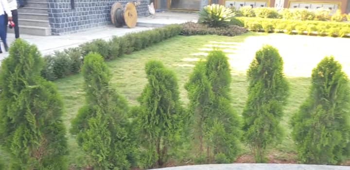 शिवजयंतीला लोकार्पण झाल्यानंतर सामान्य नागरिकांना या मंदिरात जाता येणार आहे.