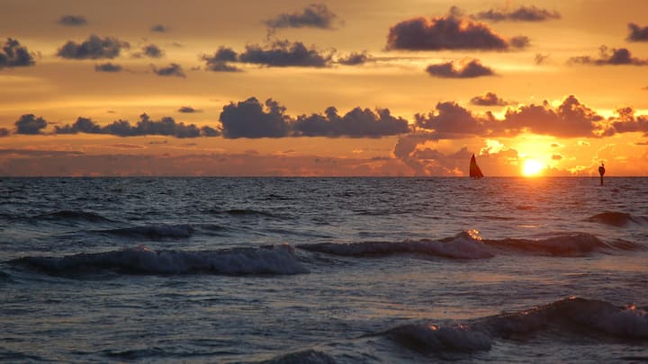 Siesta Beach, Siesta Key, Florida: With its powdery white sand and clear waters, Siesta Beach is one of Florida's top beach destinations. The place provides something to everyone, like swimming, relaxing, or exploring nearby shops. (Image Source: Canva)