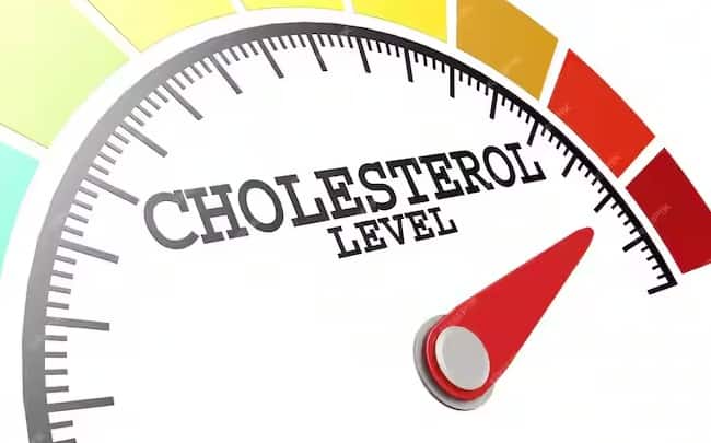 પાચનતંત્ર: કોલેસ્ટ્રોલ વધારે હોવાને કારણે પાચનતંત્ર પણ પ્રભાવિત થાય છે. આનાથી પિત્તાશયમાં પથરી બની શકે છે. પેટના ઉપરના જમણા ભાગમાં પણ દુખાવો થઈ શકે છે. આને અવગણવું જોઈએ નહીં.