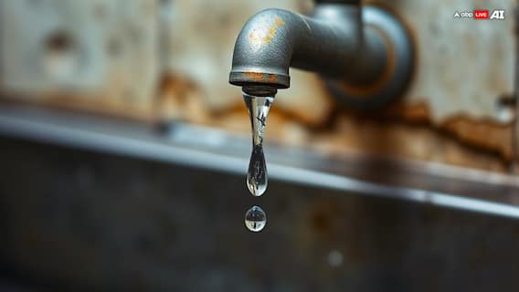 No Snow, Drying Rivers: Is Kashmir Heading Towards Its Worst Water Shortage Yet?