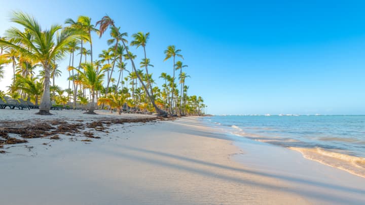 Bavaro Beach, Dominican Republic: This picturesque beach features soft white sands, clear blue waters, and lush palm trees. There is a natural reef, making it perfect for snorkeling and swimming, the shore is a peaceful beach for sunbathers.  (Image Source: Canva)