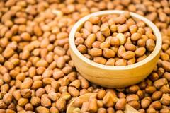 Beauty Tips: અદભૂત સૌંદર્યના લાભો મેળવા માટે એક મુઠ્ઠી આ નટ્સનું કરો સેવન, થશે ગજબ લાભ