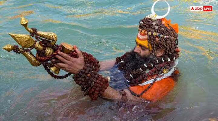 When is the last royal bath at the Kumbh Mela Know the significance and date Mahakumbh 2025: કુંભ મેળામાં હવે અંતિમ શાહી સ્નાન ક્યારે? જાણો મહત્વ અને તારીખ