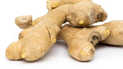 Ginger Side Effects Health Issue: অতিরিক্ত আদা খাওয়া বিপদ ডেকে আনতে পারে, কাদের এড়িয়ে যাওয়া ভাল হবে ? দেখুন একনজরে