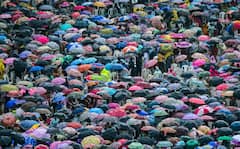 West Bengal Weather Update : ফাগুন দিনে খামখেয়ালি বৃষ্টি, জেলায় জেলায় বাজ পড়ার সতর্কবার্তা, ফের ফিরবে শীত?