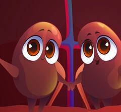 ਅੰਦਰੋਂ-ਅੰਦਰ ਖਰਾਬ ਹੋਣ ਲੱਗ ਪੈਂਦੇ ਗੁਰਦੇ, ਸਮੇਂ ਰਹਿੰਦੇ ਹੀ ਪਛਾਣ ਲਓ ਸਰੀਰ ਵੱਲੋਂ ਦਿੱਤੇ ਇਨ੍ਹਾਂ ਸੰਕੇਤਾਂ ਨੂੰ