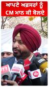 ਆਪਣੇ ਅਫ਼ਸਰਾਂ ਨੂੰ CM ਮਾਨ ਕੀ ਬੋਲਦੇ