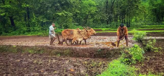 આ પછી ફાર્મર્સ કોર્નર વિકલ્પ પર જાવ. હવે અપડેટ મોબાઇલ નંબર પર ક્લિક કરો. આ પછી રજિસ્ટ્રેશન નંબર અને આધાર નંબરમાંથી એક વિકલ્પ પસંદ કરો અને નંબર દાખલ કરો. હવે કેપ્ચા દાખલ કર્યા પછી, એડિટ વિકલ્પ પર જાવ.  હવે તમે તમારો નવો મોબાઇલ નંબર દાખલ કરી શકો છો. આ પછી નવો મોબાઇલ નંબર અપડેટ કરવામાં આવશે.