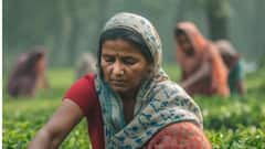 Ladki Bahin Yojana: लाडकी बहीण योजनेत 6 मोठे बदल, तुमचे 1500 रुपये बंद होणार का?