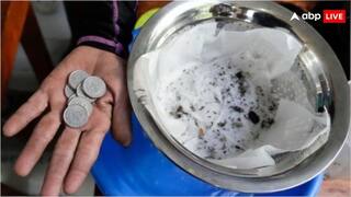 पांच मच्छर लाओ झोली भर पैसा ले जाओ, इस देश ने लोगों को दे दिया गजब का ऑफर