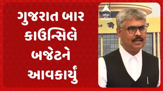 Gujarat Budget 2025: બજેટ પર ગુજરાત બાર કાઉન્સિલના પ્રમુખ જે. જે. પટેલની પ્રતિક્રિયા