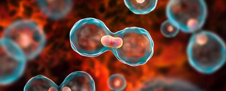 ਭਾਰਤ ਵਿੱਚ ਵਧ ਰਹੇ ਕੈਂਸਰ ਦੇ ਮਾਮਲੇ   ...ਅਤੇ ਇੰਟਰਨੈਸ਼ਨਲ ਏਜੰਸੀ ਫਾਰ ਰਿਸਰਚ ਆਨ ਕੈਂਸਰ (IARC) ਦੁਆਰਾ ਇਸਨੂੰ ਗਰੁੱਪ 1 ਕਾਰਸਿਨੋਜਨ ਵਜੋਂ ਸ਼੍ਰੇਣੀਬੱਧ ਕੀਤਾ ਗਿਆ ਹੈ। ਇਹ ਉਹੀ ਸ਼੍ਰੇਣੀ ਹੈ ਜਿਸ ਵਿੱਚ ਤੰਬਾਕੂ ਅਤੇ ਅਸਬੈਸਟਸ ਵਰਗੇ ਖਤਰਨਾਕ ਪਦਾਰਥ ਸ਼ਾਮਲ ਹਨ। ਭਾਰਤ ਵਿੱਚ ਕੈਂਸਰ ਦੇ ਮਾਮਲੇ ਵੱਧ ਰਹੇ ਹਨ ਅਤੇ ਇਸਦੇ ਪਿੱਛੇ ਸ਼ਰਾਬ ਦੀ ਵੱਧਦੀ ਖਪਤ ਇੱਕ ਵੱਡਾ ਕਾਰਨ ਬਣਦੀ ਜਾ ਰਹੀ ਹੈ। ਲੈਂਸੇਟ ਜਰਨਲ ਵਿੱਚ ਪ੍ਰਕਾਸ਼ਿਤ ਇੱਕ ਅਧਿਐਨ ਦੇ ਅਨੁਸਾਰ, ਸਾਲ 2020 ਵਿੱਚ ਭਾਰਤ ਵਿੱਚ 62,100 ਨਵੇਂ ਕੈਂਸਰ ਦੇ ਮਾਮਲੇ ਸ਼ਰਾਬ ਨਾਲ ਜੁੜੇ ਹੋਏ ਸਨ।