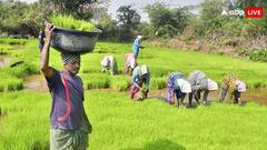 पीएम किसान योजना में आवेदन करने वाले इन लोगों को होना होगा निराश, इस वजह से रुकेगा पैसा