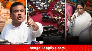 Suvendu Attacks Mamata: 'হিন্দুদের কাছে আপনি কোয়েশ্চন মার্ক হয়ে গেছেন..' !