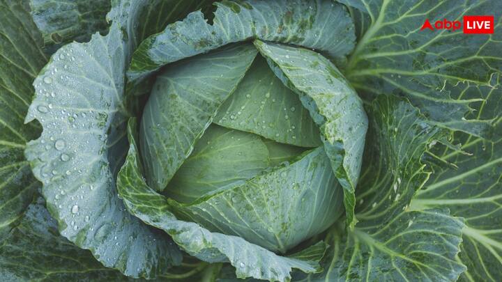 अक्सर कहा जाता है कि पत्ता गोभी वाला कीड़ा हमारे शरीर के जरिए दिमाग में घुस जाता है, जो गंभीर बीमारी का कारण बन जाता है, लेकिन क्या आपको पता है कि यह कीड़ा और किन सब्जियों में पाया जाता है.