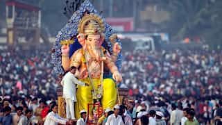 Ganesh Utsav 2025 : पीओपी गणेश मूर्तीचा वाद सध्यापूरता मिटवला, सरकारची पुढची भूमिका काय?