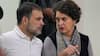 UP Politics: INDIA गठबंधन नहीं, कांग्रेस को...', प्रियंका राहुल के करीबी नेता ने यूपी चुनाव पर दिया बड़ा बयान