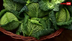 क्या पालक या हरी सब्जियों में भी होता है पत्ता गोभी वाला कीड़ा? ये है सच