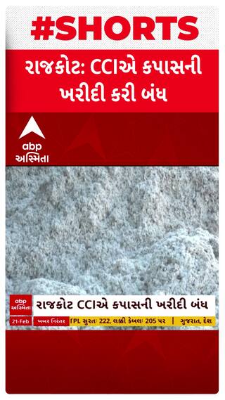 Rajkot Cotton MSP : સર્વર ડાઉન થતાં CCIએ ટેકાના ભાવે કપાસની ખરીદી કરી બંધ