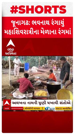 Bhavnath Mahashivratri Mela 2025 : ભવનાથ રંગાયું મહાશિવરાત્રિના મેળાના રંગમાં