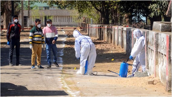 मध्य प्रदेश में बर्ड फ्लू की दहशत! बिल्लियों का सैंपल पॉजिटिव पाए जाने पर मचा हड़कंप मध्य प्रदेश में बर्ड फ्लू की दहशत! बिल्लियों का सैंपल पॉजिटिव पाए जाने पर मचा हड़कंप
