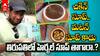 Tirupati Special Herbal Soup | తిరుపతిలో ప్రాచుర్యం పొందుతున్న హెర్బల్ సూప్ కార్నర్ | ABP Desam
