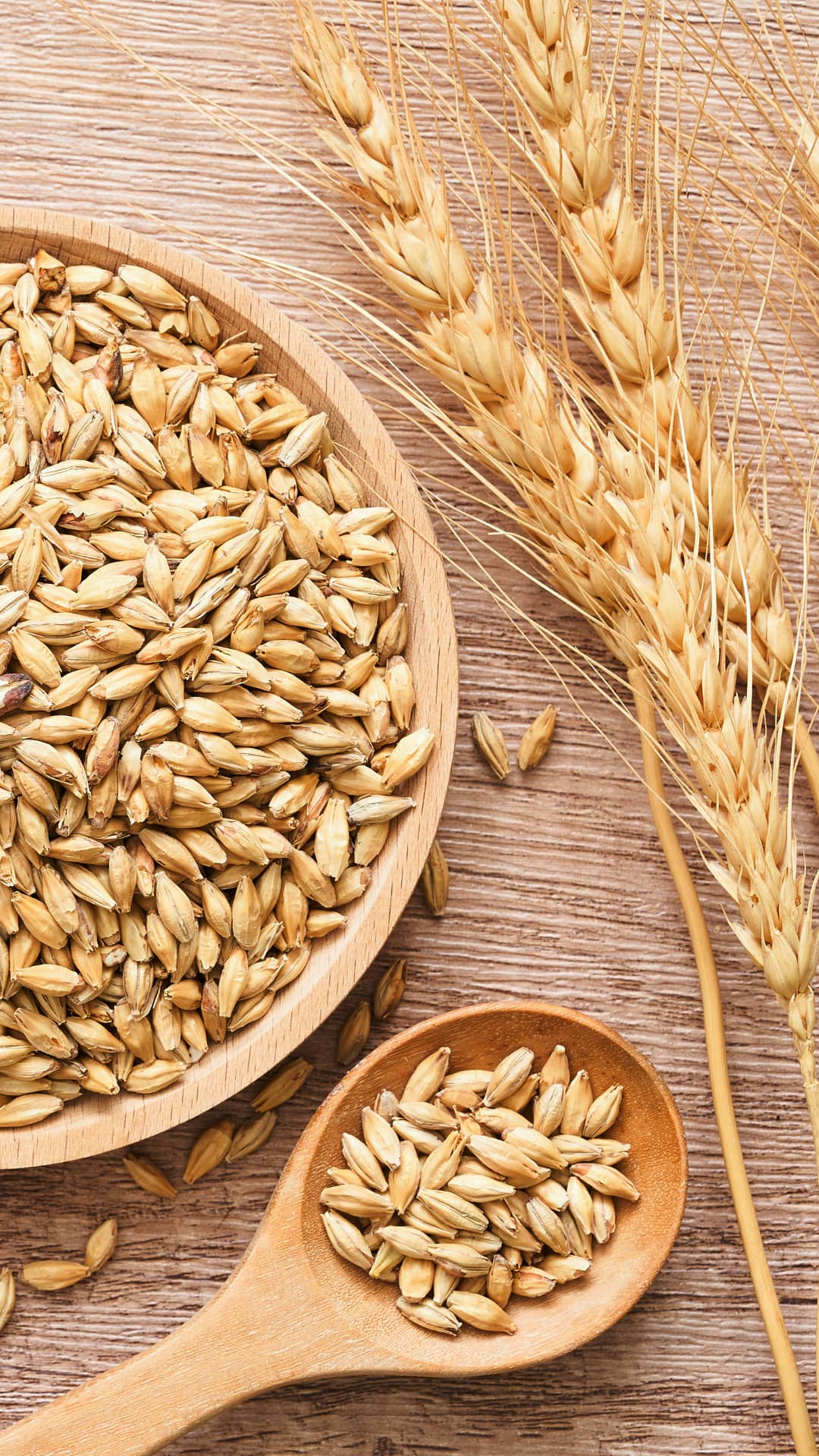Barley: Barley: