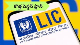 LIC Smart Pension Plan: సింగిల్‌ ప్రీమియంతో జీవితాంతం పింఛను - ఎల్‌ఐసీ స్మార్ట్ పెన్షన్ ప్లాన్‌