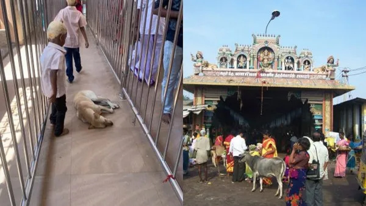 Samayapuram : மாரியம்மா எங்களை காப்பாற்று... சமயபுரம் வரும் பக்தர்களின் கதறல் எதற்காக?