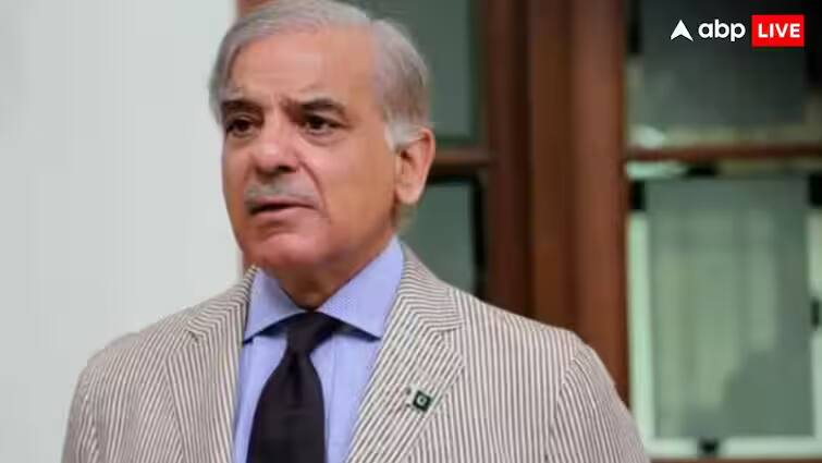 Pak PM controversial statement Says If Pakistan does not overtake India my name is not Shahbaz Sharif 'भारत से आगे नहीं निकला पाकिस्तान तो...', ये क्या बोल गए PAK प्रधानमंत्री शहबाज शरीफ