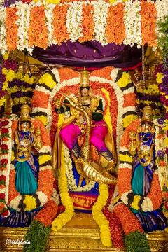 TIRUPATI: సర్వ భూపాల వాహనంపై బకాసుర వధ అలంకారంలో శ్రీ కల్యాణ వేంకటేశ్వరస్వామి
