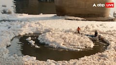 यमुना में फिर बढ़ी अमोनिया की मात्रा, दिल्ली में पानी की आपूर्ति पर पड़ेगा असर?