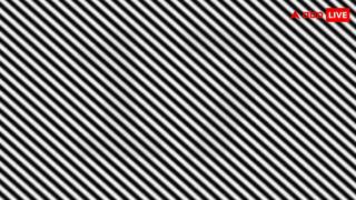 क्या आपके पास हैं चील सी नजर और लोमड़ी सा दिमाग? 10 सेकंड में छिपा हुआ नंबर खोज निकालिए
