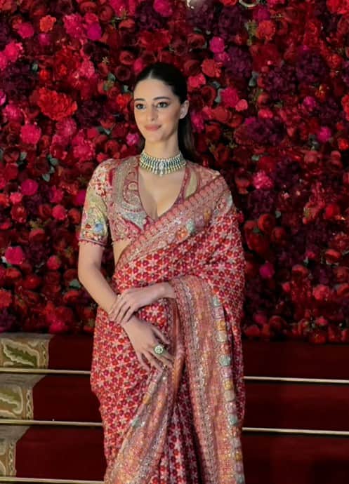 अनन्या ने अपना लुक साड़ी के साथ डीपनेक ब्लाउज, गले में चोकर नेकलेस और बालों को हाफ टाई करके पूरा किया है.