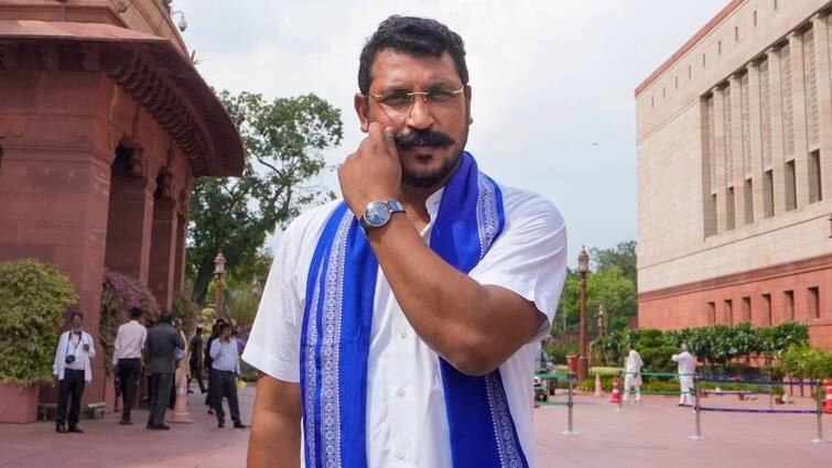 Nagina mp Chandrashekhar Azad React on BSP Chief Mayawati Blessing or Akash Anand Chair मायावती का आशीर्वाद या आकाश आनंद की कुर्सी? चंद्रशेखर आजाद ने बता दी अपने दिल की बात