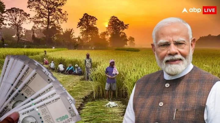PM Kisan Yojana Status Check Process: कुछ ही दिनों में किसान योजना की 19वीं किस्त जारी कर दी जाएगी. किस्त आने से पहले किसान इस तरह चेक कर सकते हैं अपना स्टेटस. जानें पूरी प्रोसेस.