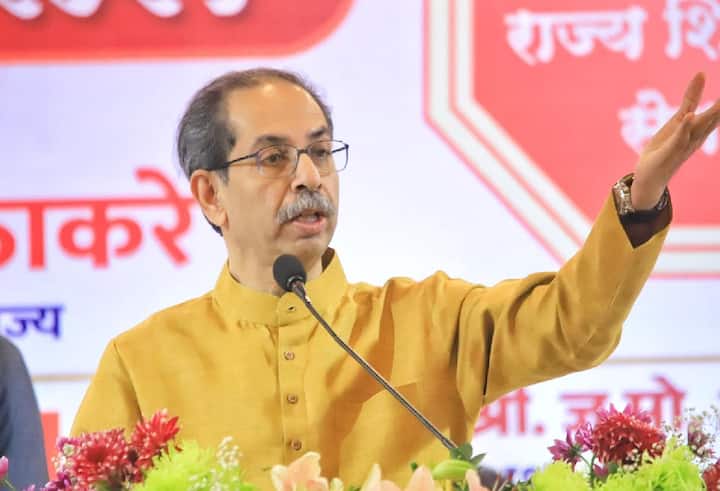 भास्कर जाधव सिनिअर असताना पण विरोधी पक्षनेते पदासाठी आदित्य ठाकरेच नाव उद्धव ठाकरेंनी  पुढं केलेलं. म्हणजे भास्कर जाधवांना तिकडे सतरंजाच उचलायच्या आहेत. म्हणून नाराजी शिवाय दुसरा पर्याय राहिलेला नाही.