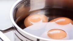 Boiling Eggs Perfectly: কাজের কাজ হচ্ছে না, গায়ে লাগছেই না কিছু, ডিম সেদ্ধ করার সঠিক পদ্ধতি জানালেন বিজ্ঞানীরা
