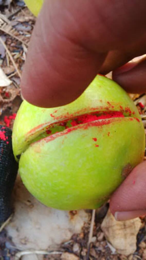 सिंदूर लगी कोई चीज रास्ते में मिल जाए तो क्या करें